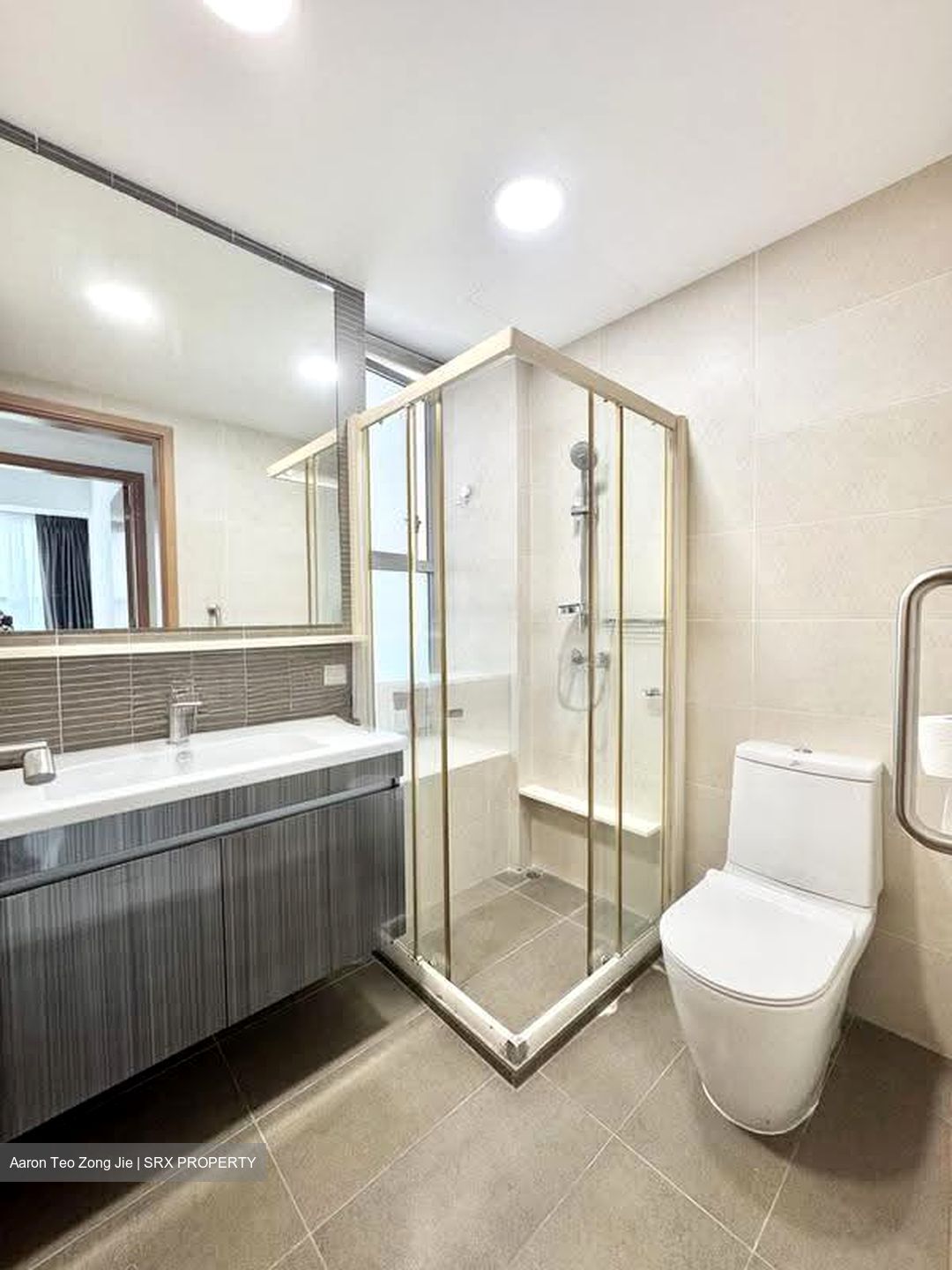 Amber Gardens (D15), Condominium #617541621